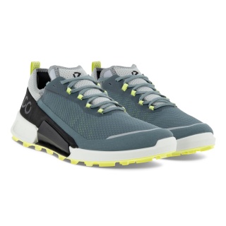 ECCO Sneaker Biom 2.1 X Country Low blue-green Men